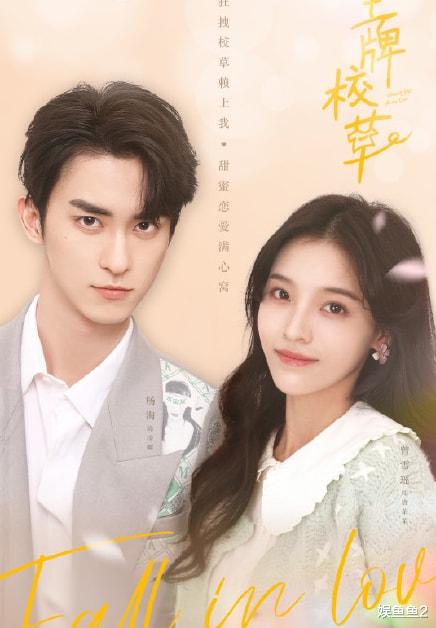 دانلود سریال چینی رتبه یک محوطه دانشکده 2022 Campus Ace