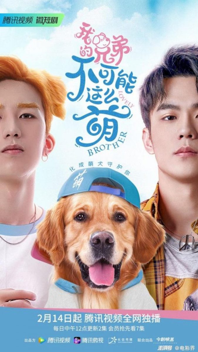دانلود سریال چینی برادر دوست داشتنی 2022 Lovely Brother