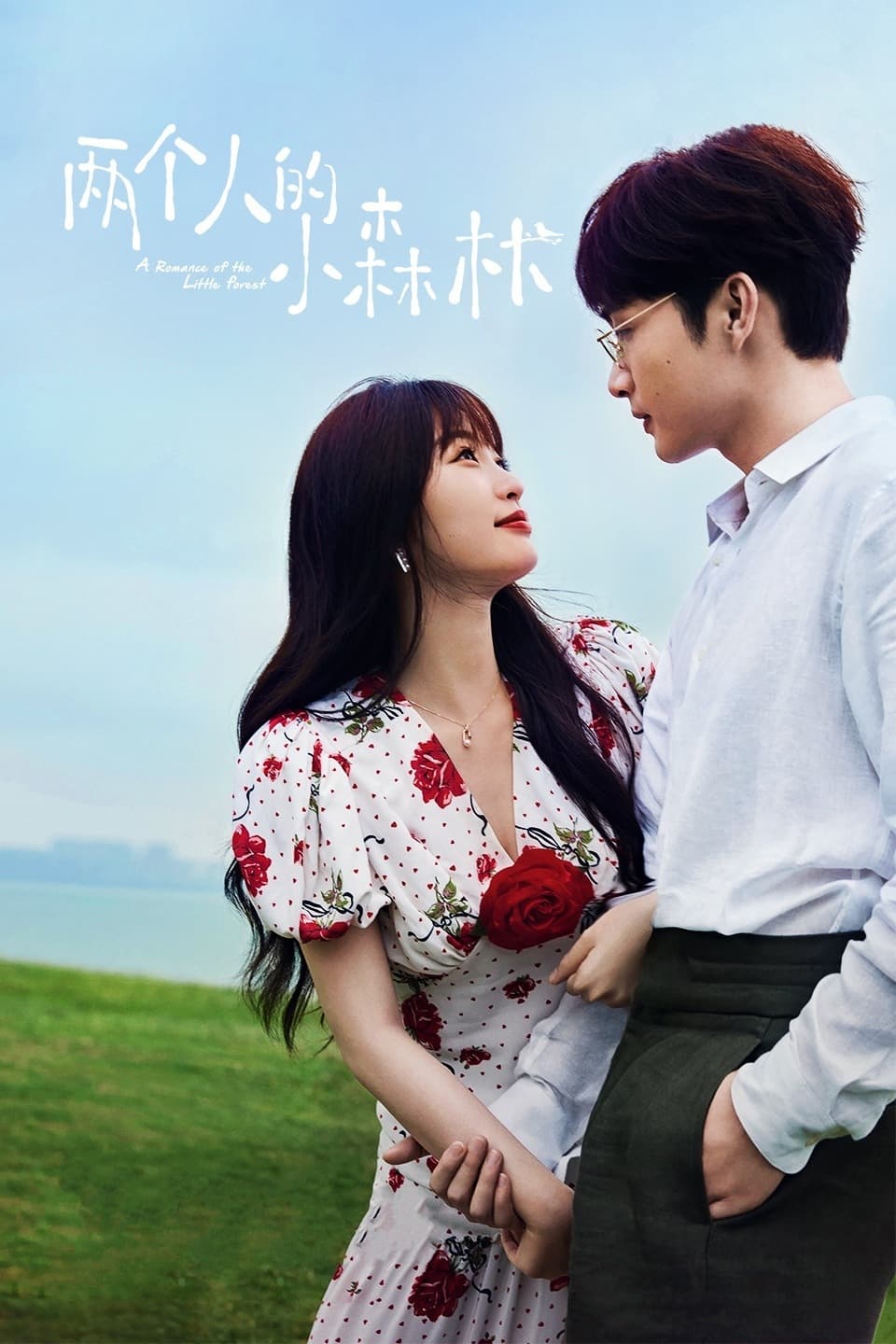 دانلود سریال چینی عاشقانه جنگل کوچک 2022 A Romance of the Little Forest
