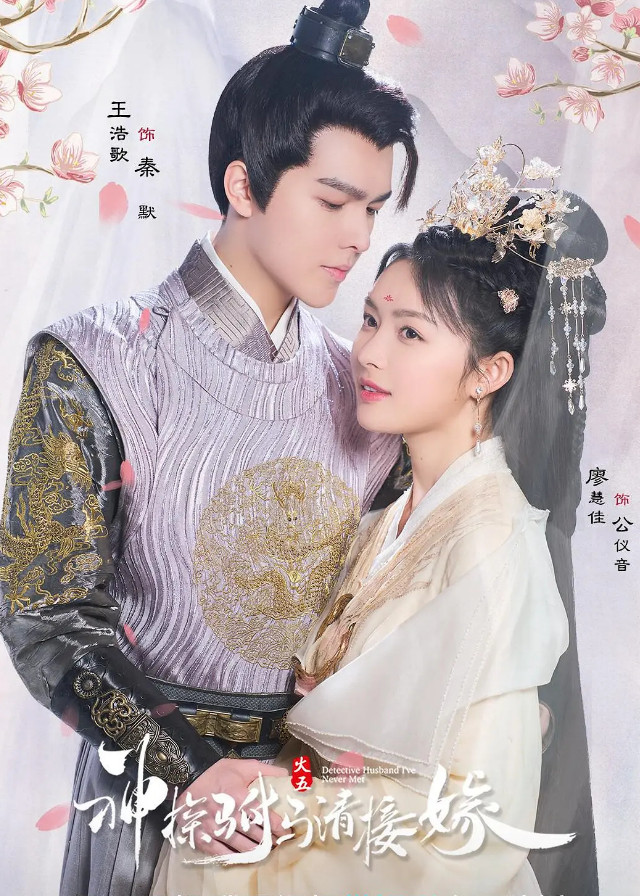 دانلود سریال چینی ها شوهر کارآگاهی که اصلا ندیدم 2022 Detective Husband I’ve Never Met