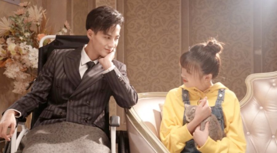 Here Is My Exclusive Indulge