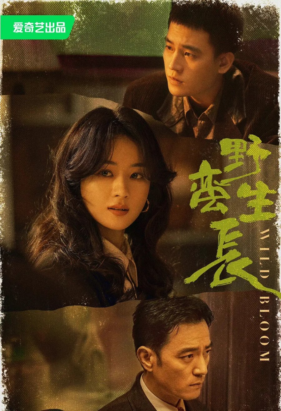 دانلود سریال چینی شکوفه وحشی 2022 Wild Bloom