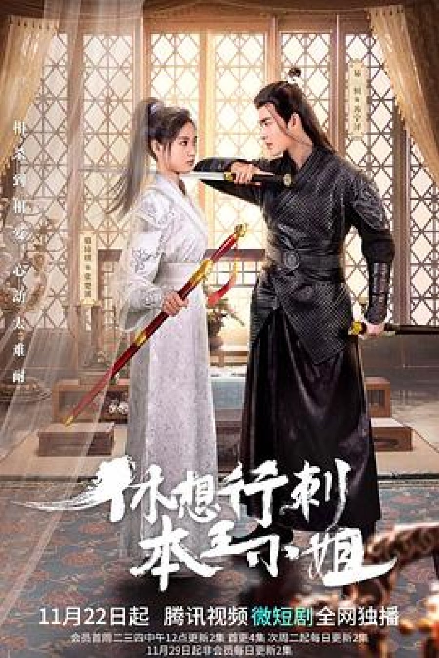 دانلود سریال چینی روزی که از خود بیخود شدیم 2022 In the Day We Flipped