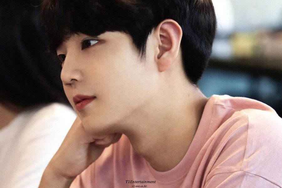 The Dolphin in the Little Mermaid