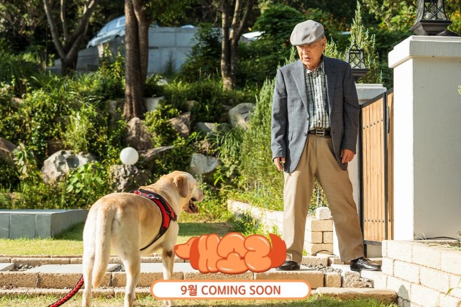 Dog Knows Everything