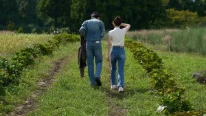 دانلود برنامه تلویزیونی کره ای دیر شدن بهتر از مجرد موندنه  2025 Better Late than Single