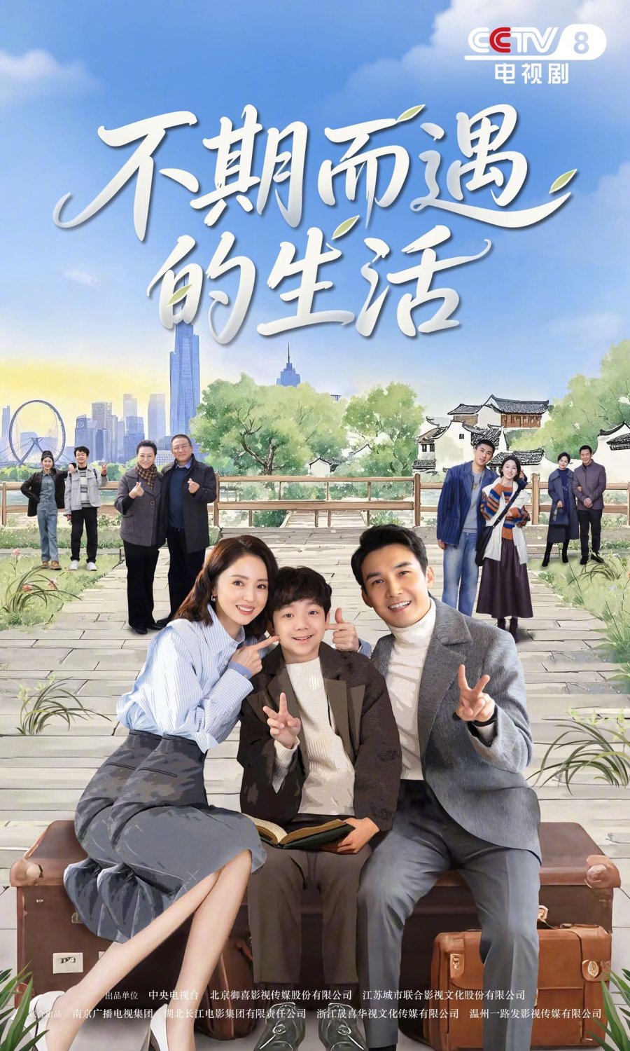 دانلود سریال چینی راه حل زندگی بهینه 2025 Life Optimal Solution